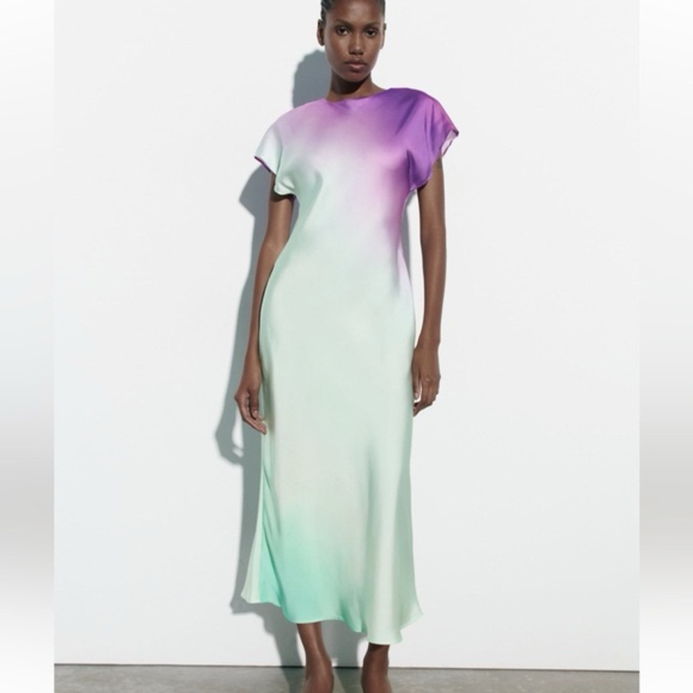 Zara maxi dress